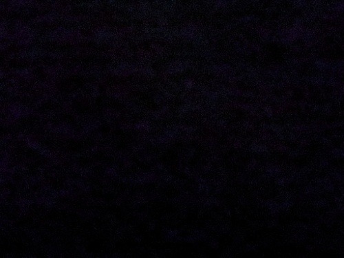 e239694f21c4b1b2f4f1f20c72209798.jpg